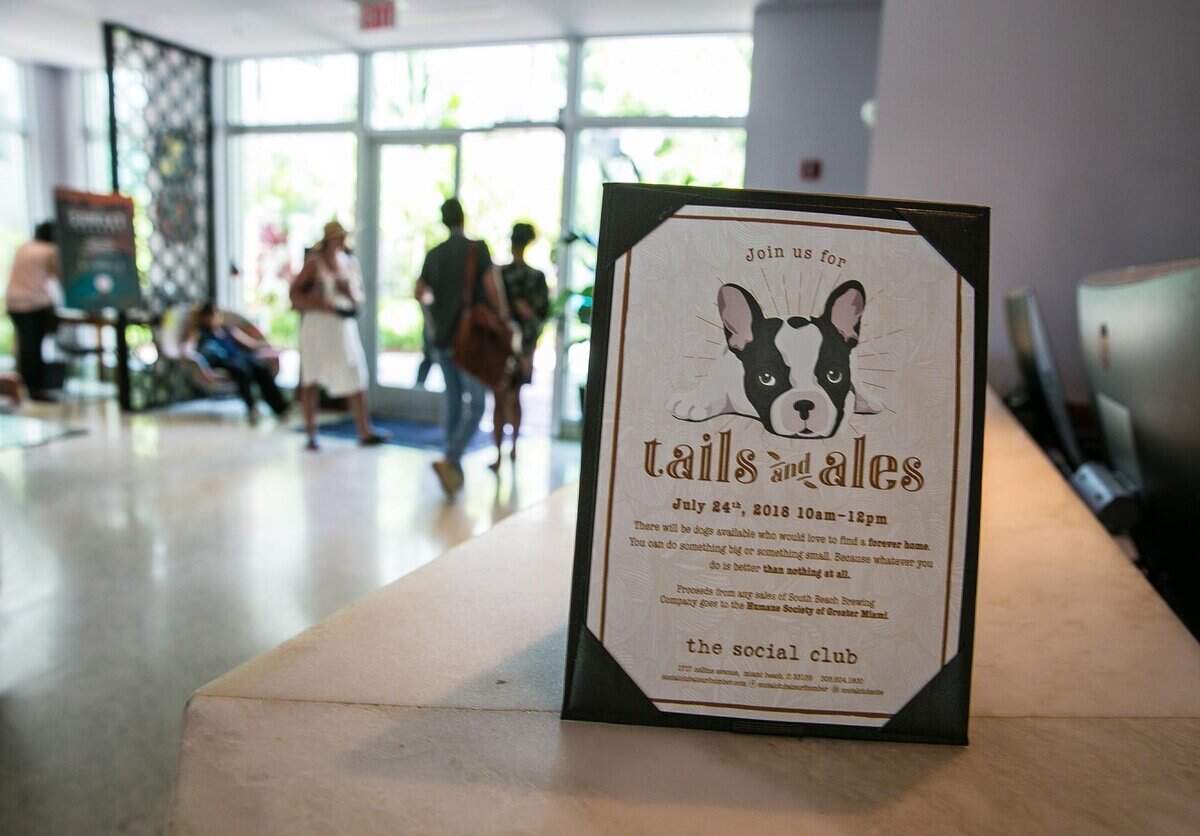 The Kimpton Surfcomber Hotel in Miami Beach is a pet friendly hotel that allows their employees to bring their dogs to work, Friday, July 20, 2018